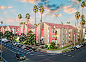 Thumbnail 2 of 17 - a city street with a row of buildings and palm trees