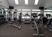 Thumbnail 10 of 36 - A gym with a variety of equipment including treadmills, weights, and exercise machines.