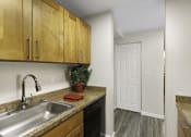 Thumbnail 23 of 25 - the enclave at homecoming terra vista kitchen