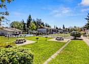 Thumbnail 11 of 23 - Resident Picnic Area with Picnic Tables and Lush Grassy Field at Pinewood Square Apartment Homes, Lynnwood, WA
