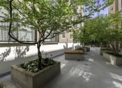 Thumbnail 12 of 27 - Resident Courtyard with Trees and Seating at Sir Gallahad Apartment Homes, Bellevue