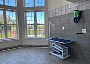 Thumbnail 32 of 34 - a treatment room with a table and a chair and three windows at Cidermill Village Apartments in Rochester Hills, MI 