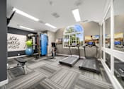 Thumbnail 22 of 23 - A gym with treadmills, exercise balls, and a wall mural.