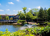 Thumbnail 13 of 31 - A serene park with a fountain in the middle of a pond.