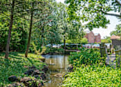 Thumbnail 2 of 31 - A serene landscape with a small river, rocks, and lush greenery.