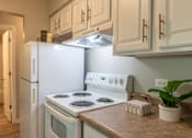 Thumbnail 12 of 43 - A white stove and oven in a kitchen with a plant on the counter.