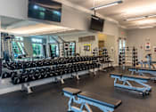 Thumbnail 49 of 73 - A gym with a variety of equipment including dumbbells, benches, and a television.
