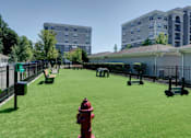 Thumbnail 49 of 53 - A red fire hydrant sits in the middle of a green lawn.