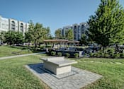 Thumbnail 47 of 53 - A park with a bench and a tree in the foreground and buildings in the background.