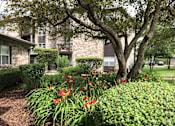 Thumbnail 3 of 23 - A tree with red flowers in the foreground and a building in the background.