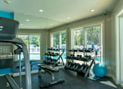Thumbnail 24 of 44 - A gym with a treadmill, weights, and exercise balls.