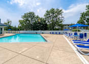 Thumbnail 14 of 44 - A large outdoor swimming pool surrounded by blue lounge chairs.