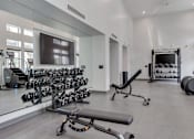 Thumbnail 15 of 19 - A spacious gym with a variety of equipment including dumbbells, weight plates, and a bench press.