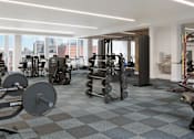 Thumbnail 13 of 14 - A gym with a variety of equipment including weights and machines.