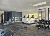 Thumbnail 12 of 18 - A gym with a variety of equipment including treadmills, weights, and exercise balls.