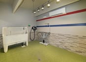 Thumbnail 41 of 47 - Pet spa at The Mark, pet friendly apartments