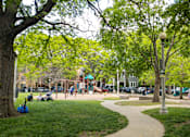 Thumbnail 26 of 29 - a park with green grass and trees and a playground in the background