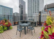 Thumbnail 40 of 46 - The Chatelaine - Chicago Rooftops