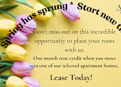 Thumbnail 1 of 29 - A promotional image for Axis at Water Creek offering a one month rent credit for leasing their apartments.