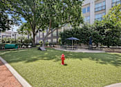Thumbnail 19 of 48 - A red fire hydrant sits in the middle of a green lawn at Everra Midtown Park Apartments, Texas, 75231