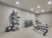 Thumbnail 55 of 69 - A room with a variety of exercise equipment including a weight rack, exercise balls, and resistance bands.