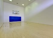 Thumbnail 23 of 32 - Racquet Court at Hunters Hill, Texas, 75287