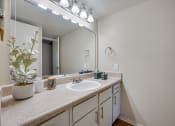 Thumbnail 11 of 57 - a bathroom with a sink and a mirror and a potted plant at Indian Creek Apartments, Carrollton, TX