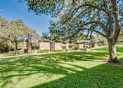 Thumbnail 40 of 72 - tree stands in a grassy field at Southern Oaks, Fort Worth