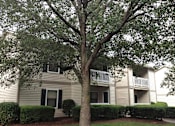 Thumbnail 5 of 13 - A tree in front of a building with a balcony.