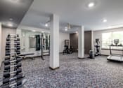 Thumbnail 19 of 19 - A spacious gym with a variety of equipment including a treadmill, weights, and a bench press.
