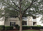 Thumbnail 11 of 13 - A tree in front of a building with a balcony.
