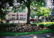 Thumbnail 12 of 13 - A tree in a flower bed in front of a building.