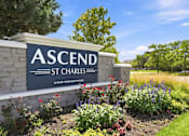 Thumbnail 39 of 39 - A stone sign that says Ascend St Charles in front of a field of flowers.