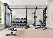 Thumbnail 17 of 39 - A well-equipped home gym with a variety of weightlifting equipment.