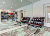 Thumbnail 11 of 47 - the gym at the preserve apartments
