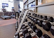 Thumbnail 11 of 41 - free weights in the Ovaltine Court fitness center