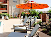 Thumbnail 13 of 41 - lounge chairs and umbrellas pool-side at Ovaltine Court