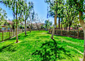 Thumbnail 31 of 41 - A backyard with a fence and trees.