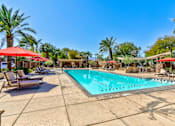 Thumbnail 2 of 41 - A large swimming pool surrounded by palm trees and lounge chairs.