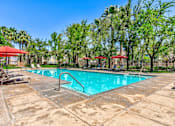 Thumbnail 24 of 41 - A large outdoor swimming pool surrounded by trees and lounge chairs.