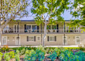 Thumbnail 3 of 23 - A row of apartments with balconies and trees in front.