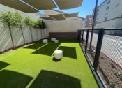 Thumbnail 24 of 27 - Dog Park at Citron Apartment Homes, California