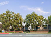 Thumbnail 23 of 34 - A row of trees in front of a building.