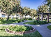 Thumbnail 15 of 34 - A garden with a circular flower bed and a wooden pergola.