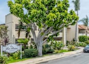 Thumbnail 5 of 13 - A tree in front of apartment buildings with a sign that says Las Buena.