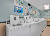 Thumbnail 13 of 13 - A laundromat with rows of washers and dryers.