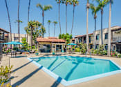 Thumbnail 22 of 25 - A swimming pool surrounded by palm trees and a building in the background.
