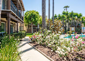 Thumbnail 6 of 25 - A walkway with a side of flowers and trees.