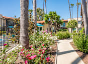 Thumbnail 9 of 25 - A garden with a walking path and a pool in the background.