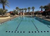 Thumbnail 37 of 41 - a large swimming pool with palm trees in the background